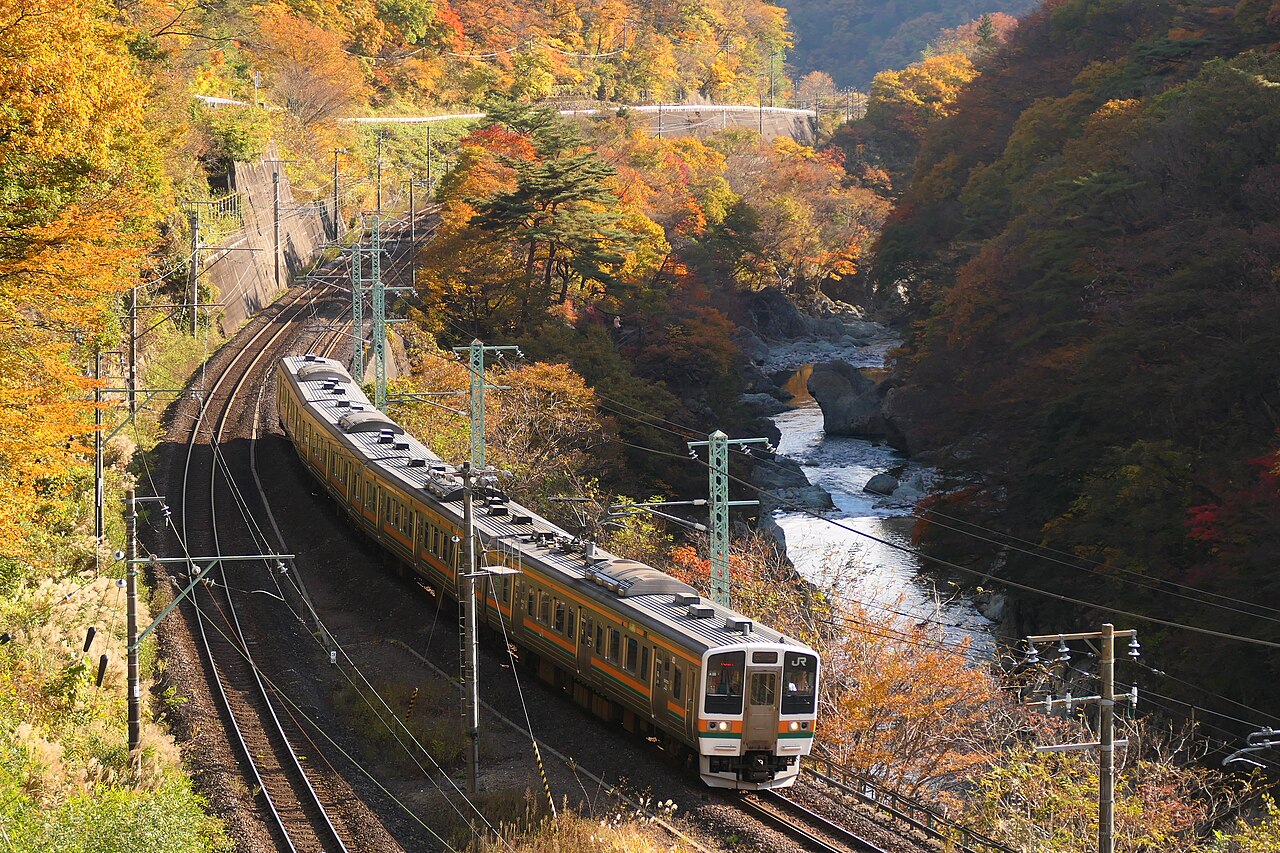 JR East 211 series running through the Minakami valley in Gunma Prefecture on the Joetsu Line in autumn.