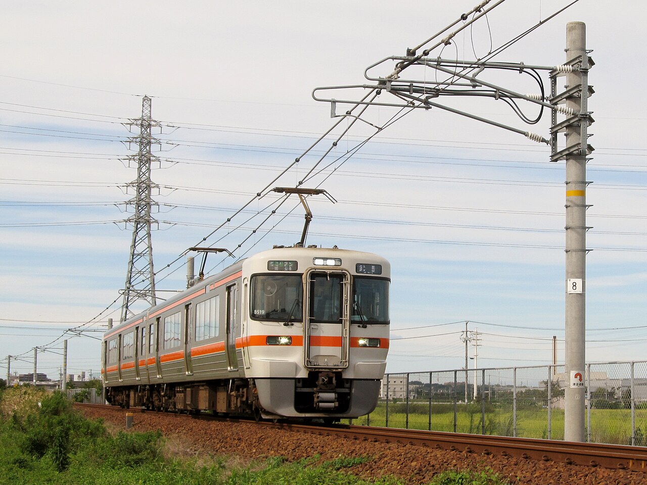 JR Central 313-1300 series (set B519) on a Taketoyo Line service for Taketoyo.