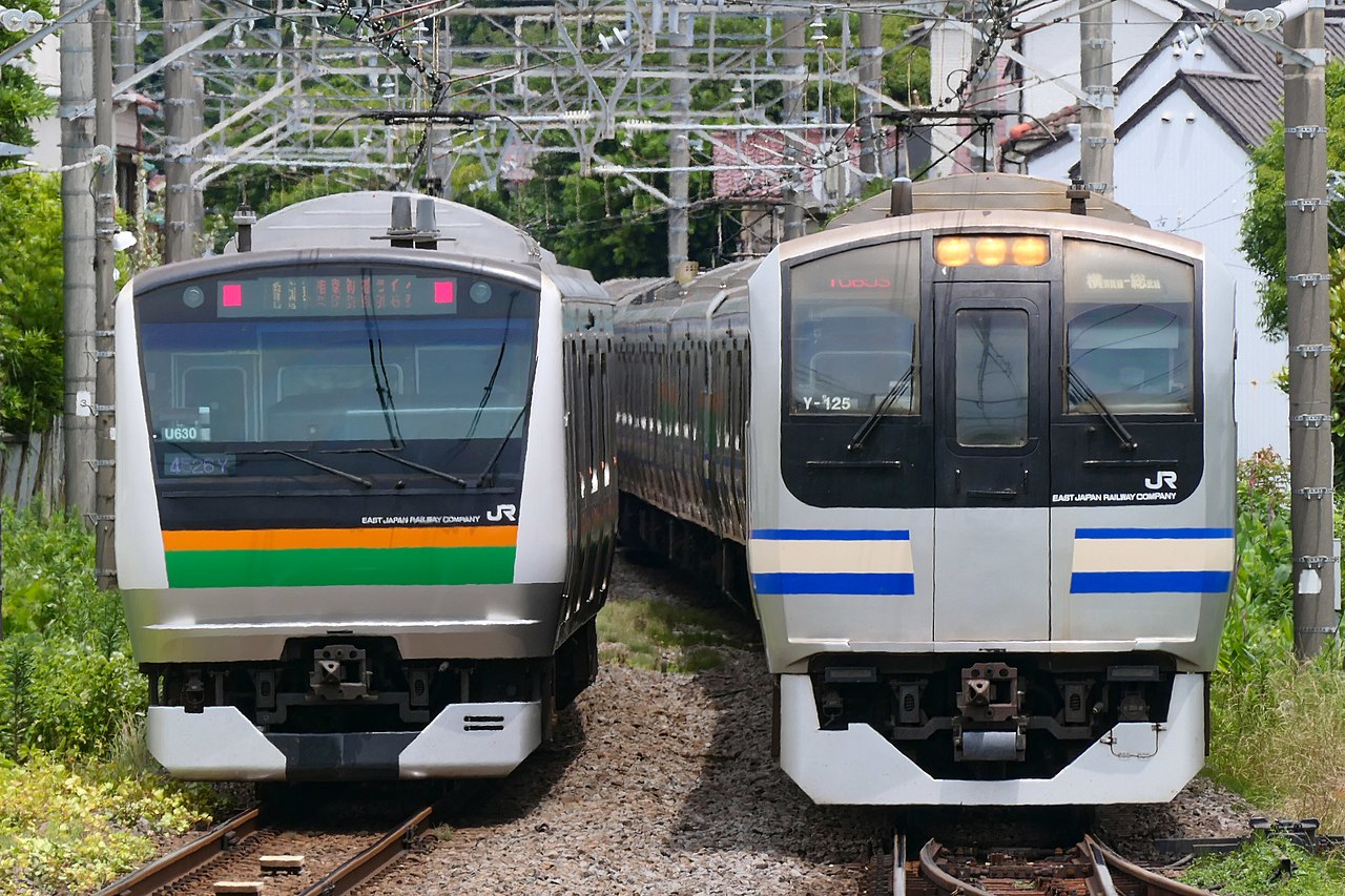 An E217 series and an E233-3000 series passing near Kamakura on the Yokosuka Line.