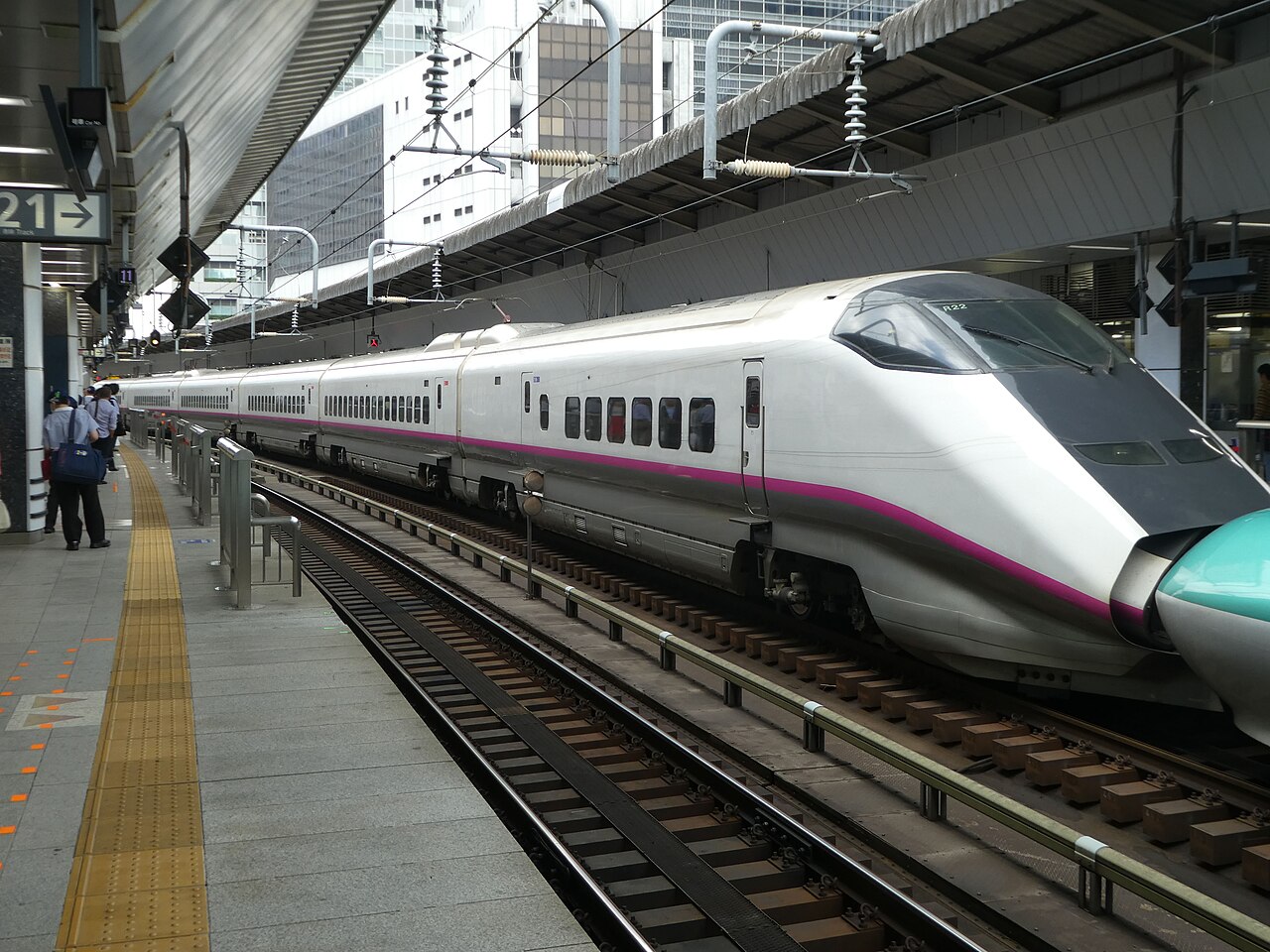 JR East E3 series set R22 at Tokyo Station.