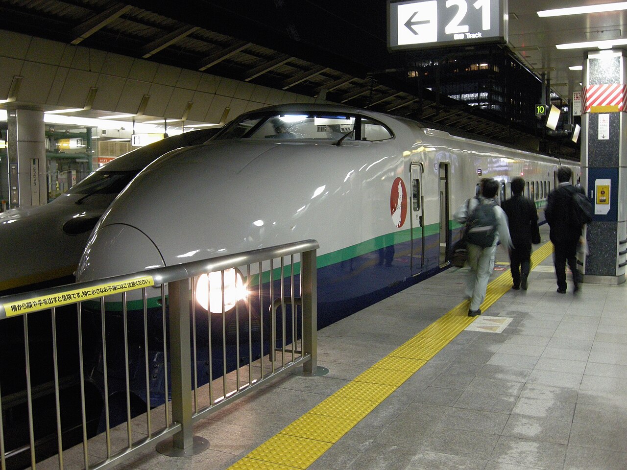 A 200 series shinkansen at Tokyo Station.